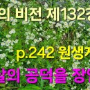 『불교의 비전』 제132강 p.242 원생게(3) 보살의 공덕을 장엄함 이미지