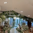 나비아트홀 | 강서웨딩홀 마곡더베뉴지 27년견적공유 상담후기 아트홀 네이처홀