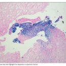 태전이안내과의원 이미지