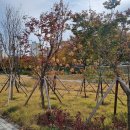 바람길소공원 이미지
