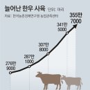 모아한우식육식당 이미지