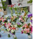 돌마로486번길 | 성남꽃집, 서현동 꽃집 추천 :아그네스 (24시간 무인꽃집, 급한날 강추)