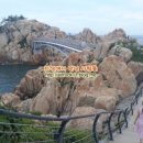 경상도상회 - 보령시 한내시장길 24-10 | 경상도상회