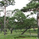 노송농원 이미지