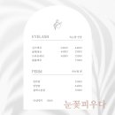 눈꽃속눈썹
