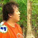 공단6로 R 네이버블로그