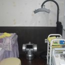 내몸에 건강이야기 이미지