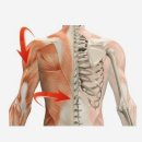 예진한의원 이미지