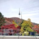 남산공원길2 | 서울 단풍 맛집 남산공원 및 남산타워 가을맞이