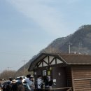 호수사 | 경남 김해 “용당나루매화공원“ 실시간 개화상황