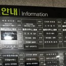 솔로사우나레포 이미지