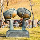 양촌자연휴양림 이미지