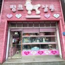 핑크 pet 살롱 이미지