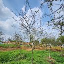 서부로R 이미지