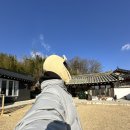 스테이낮선 이미지