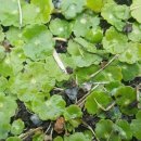 성남시청내 이미지