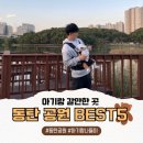 청계중앙공원 1 | 동탄 아기랑 갈만한 공원 BEST 5 (추천 포인트 + 주차 정보)