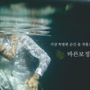 헤어보정# 이미지