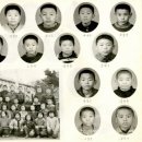 영양초교 이미지