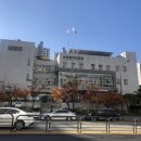 체리쉬헤어 이미지