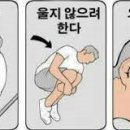 브라운도트 사직야구장점 이미지