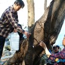 현대택배 이미지