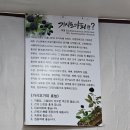 강원오가피돼지국밥