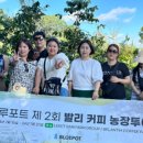 씨앤코컴퍼니블루포트