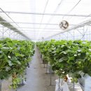 재중농장 이미지