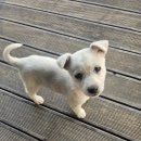 리앤유토퍼