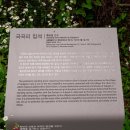 국곡리 입석 이미지