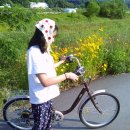 월오포레스트 이미지