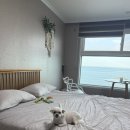 나폴리펜션 | [강원/고성]애견동반 &#39;나폴리하우스 펜션&#39; 내돈내산 후기(오션뷰 302호 /해수욕장 1분)
