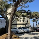 소나무집 | 검단산 소나무집 누룽지 토종닭 백숙 후기 / 부모님 모시기 좋은 하남 보양식