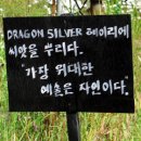 ‘문화 신도시’로 거듭나는 헤이리·출판도시