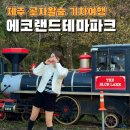 에코목장 | 제주 에코랜드 테마파크 할인 기차여행 목장 먹이주기 체험