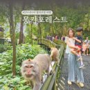 외산시장 | 인도네시아 발리 우붓여행! 몽키포레스트 아이와 가볼만한곳