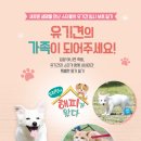 파트라슈반려견학교 이미지