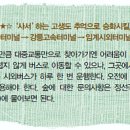 가목 이미지