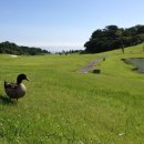 영웅당구장 이미지