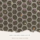 더뉴웨이컴퍼니 | 차량용에어컨필터 교체, 돌비웨이 자동차헤파필터 사용 후기