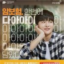 보험케어