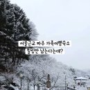초리꽃펜션 네이버블로그