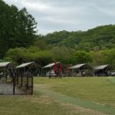 중독(DOG) 이미지