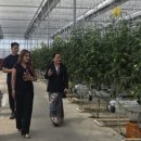 (주)케이에스팜 이미지