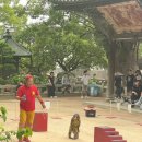 보수매화 원로의집 | 갑자기 떠난 후쿠오카 근교 여행 :: 다자이후 천만궁,다자이후 스타벅스, 우메가에모찌, 카사노야 매화떡