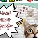청소마스터비치움 네이버블로그