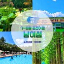 춘천 가볼만한곳 남이섬 놀거리 코스 총정리 주말 나들이