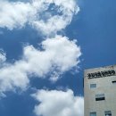 영창상회 이미지