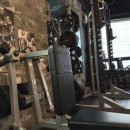 바디짐헬스 이미지